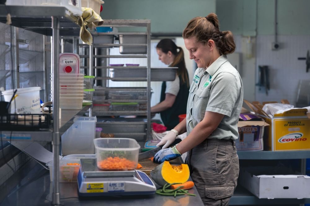 Zookeeper preparing food for animals