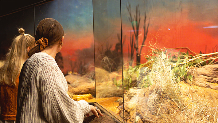 Guests enjoying nguwing nura - Nocturnal House