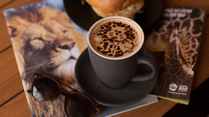 Conference at the Zoo