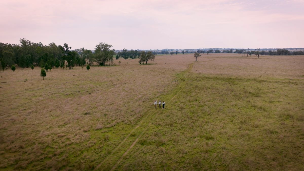 Habitat Positive site