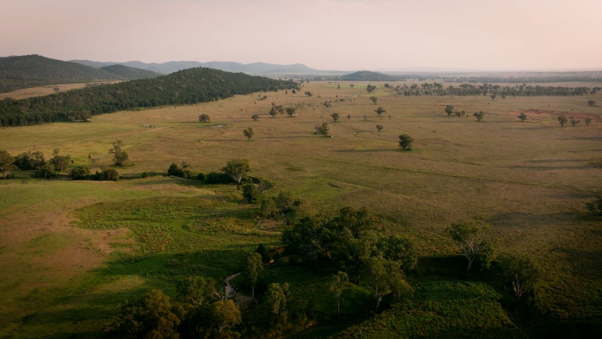 Habitat Positive site