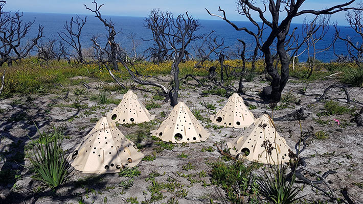 A group of Habitat Pods at North Head. Photo: Angela Rana