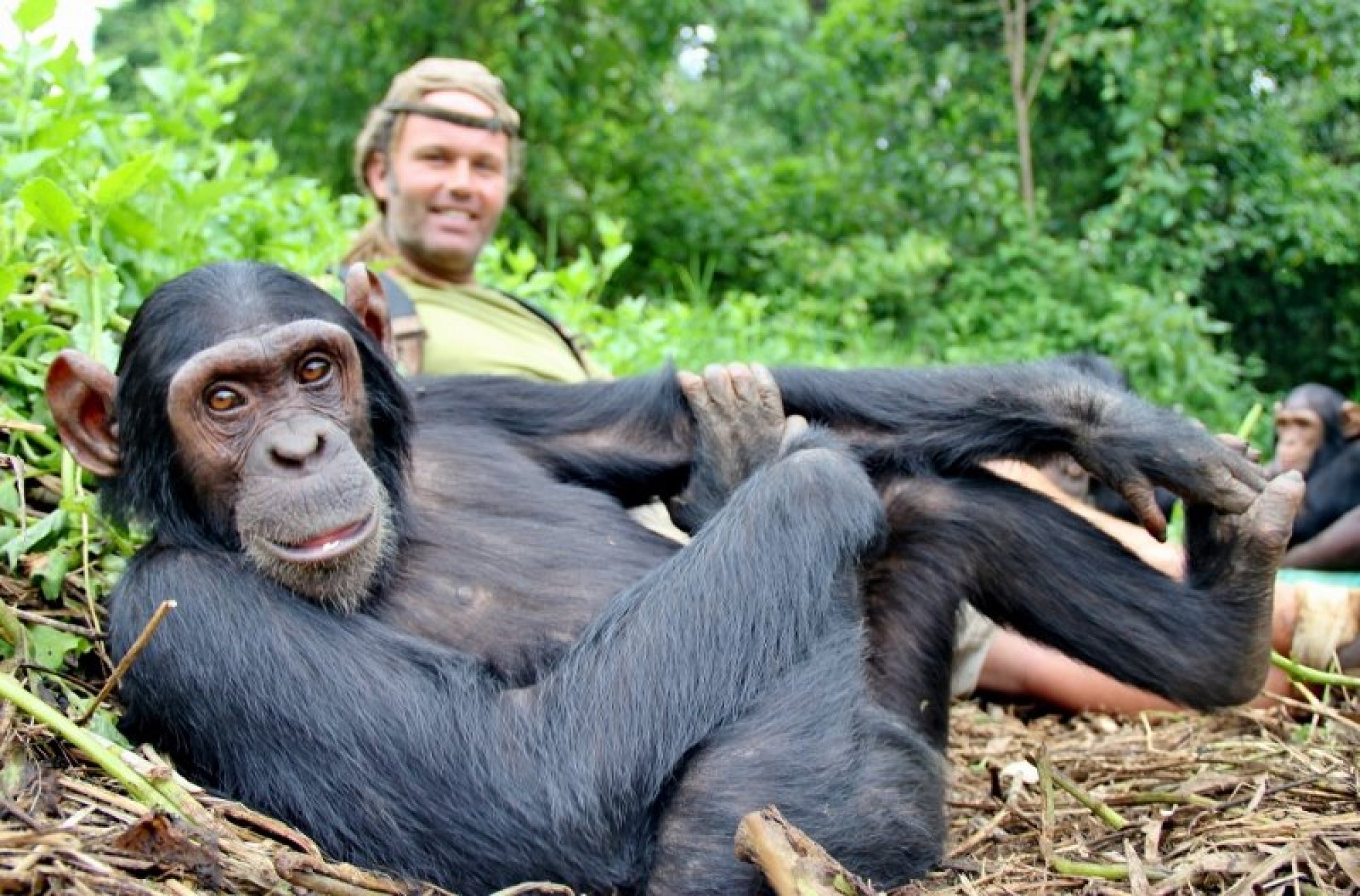 Mark with Chimpanzee in the Congo.