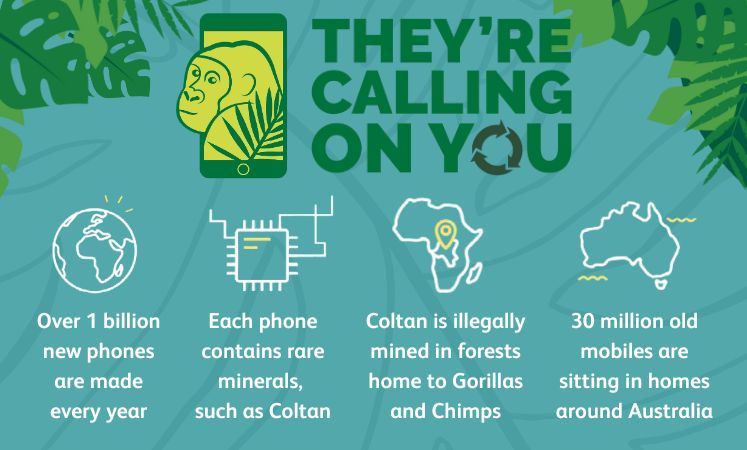 They're calling on you