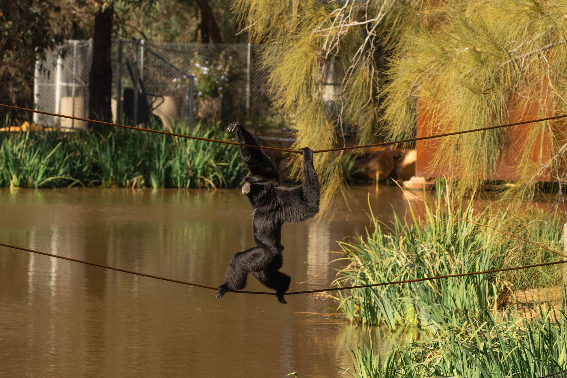 Credit: Greg Gawthorne