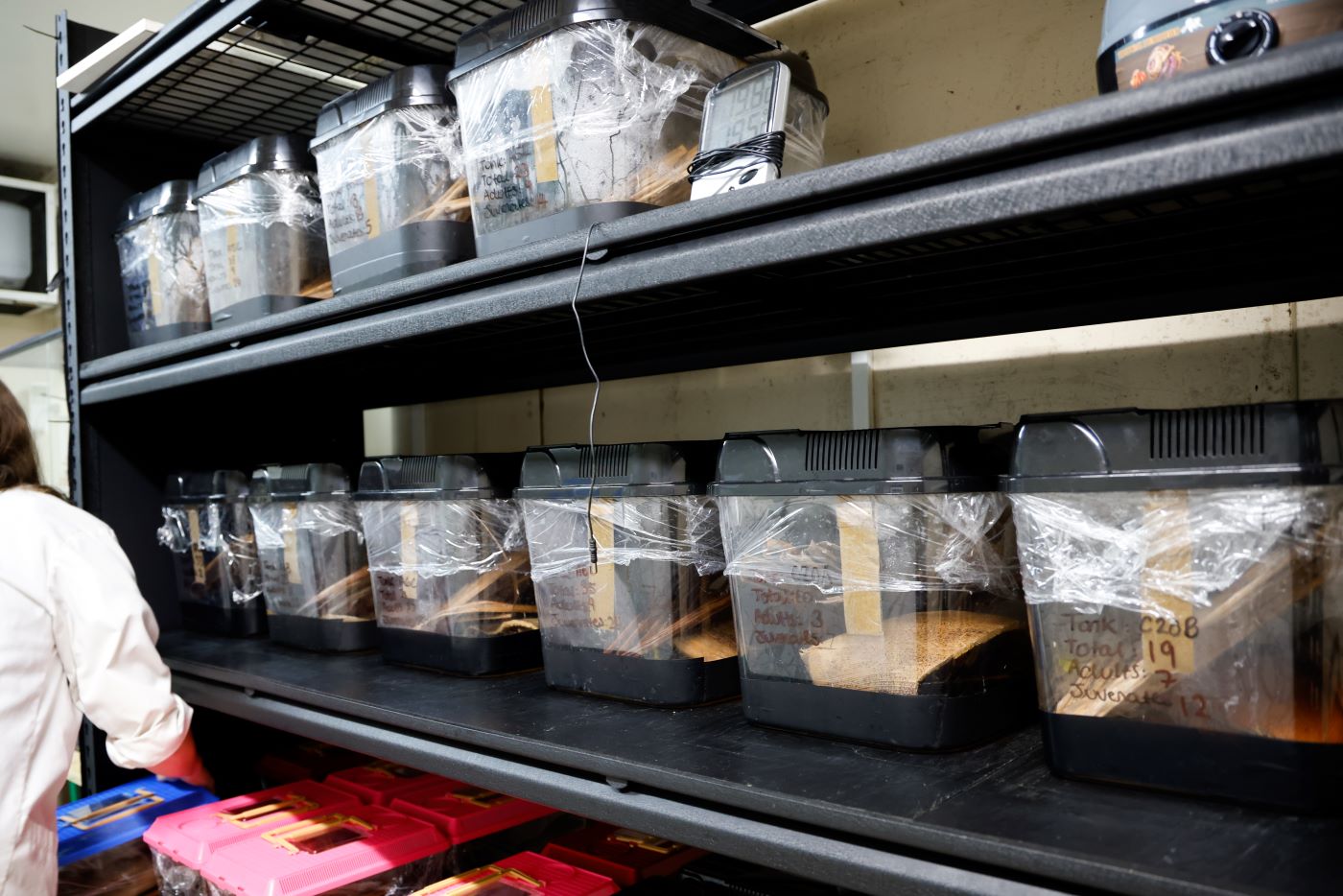 Specialised transport tanks