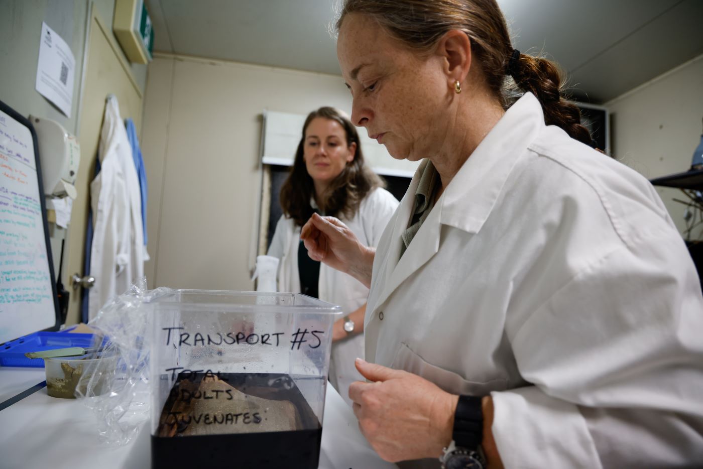 Preparation for the big move