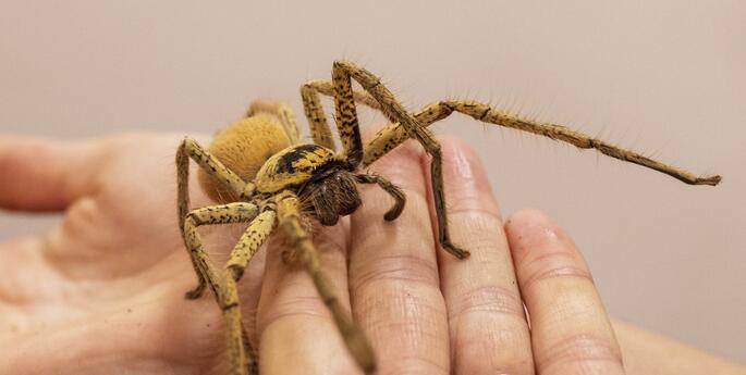 Stage 1: Data Detectives