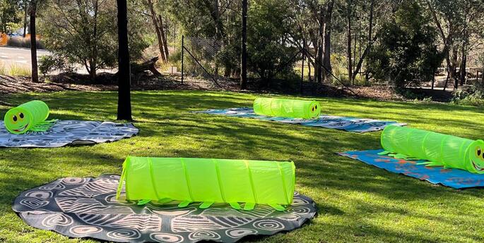 Early Stage 1: Our Space, Their Space- Exploring habitat connections