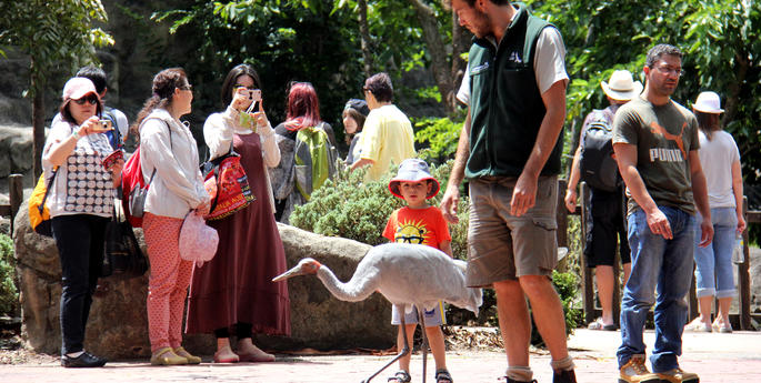 Billy explores the Zoo