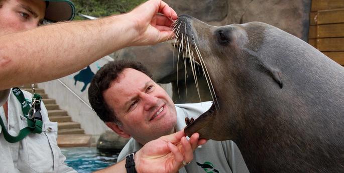 Regional recognition for Taronga’s positive animal welfare