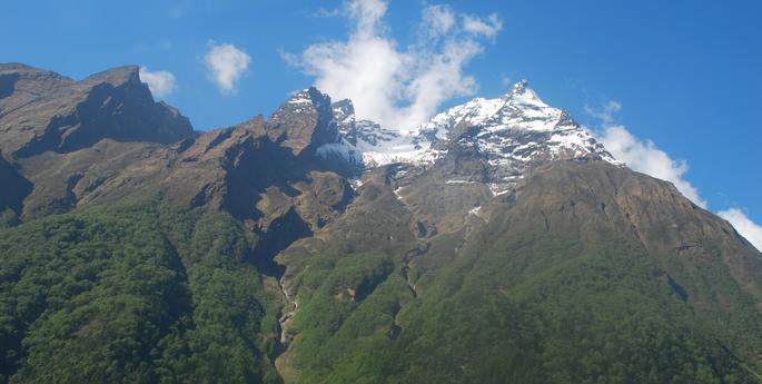 Project tackles human‐bear conflict in Nepal