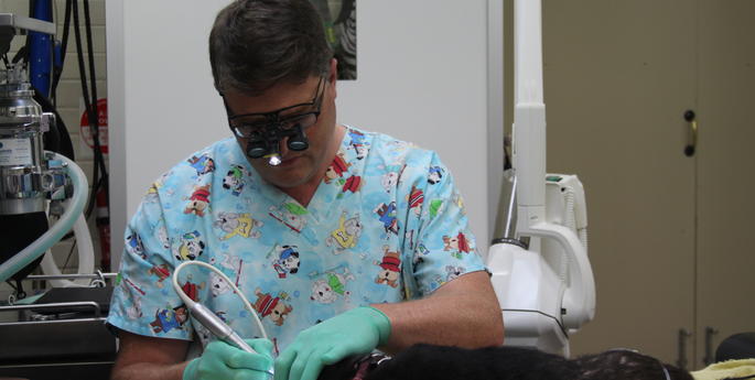 A visit from the dentist