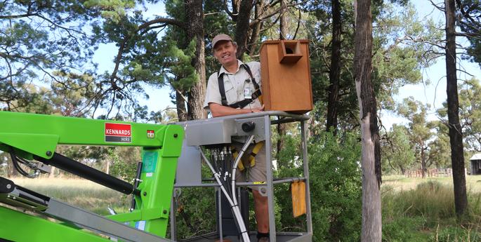 New homes for native wildlife