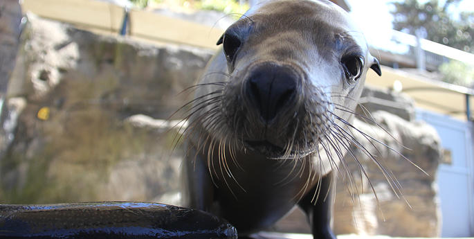 Max celebrates a big first year