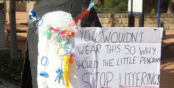 TARONGA CELEBRATES A DECADE OF PENGUIN CARE ON NORTHERN BEACHES