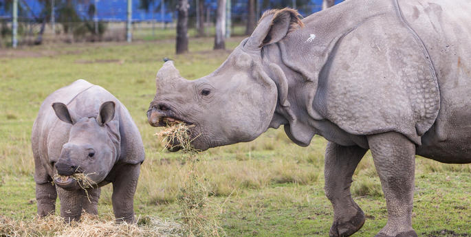 Warm up in the wild these school holidays