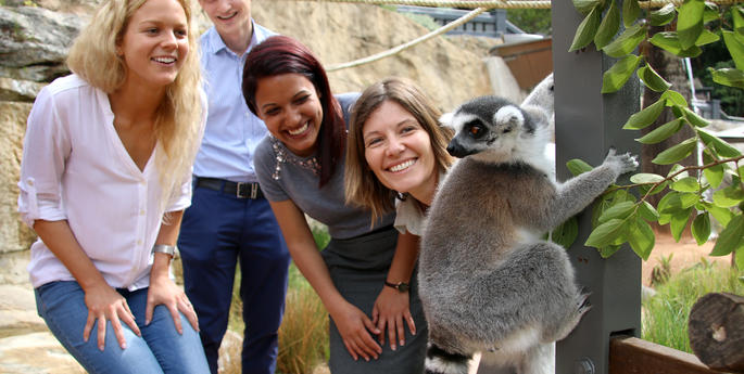 Have your say in focus group