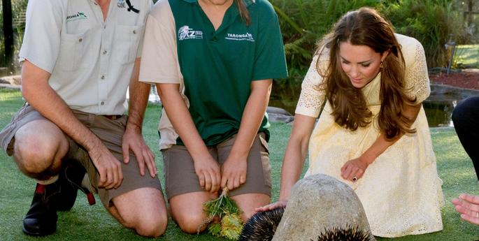 A Royal day at the Bird Show