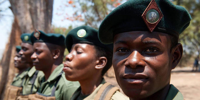 Anti-poaching patrols remove hundreds of snares