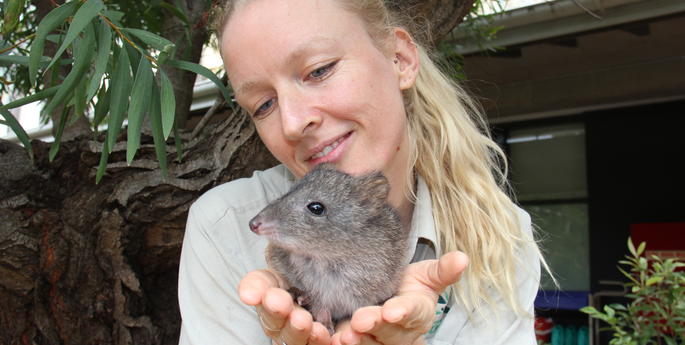 Little joey ready for a big role