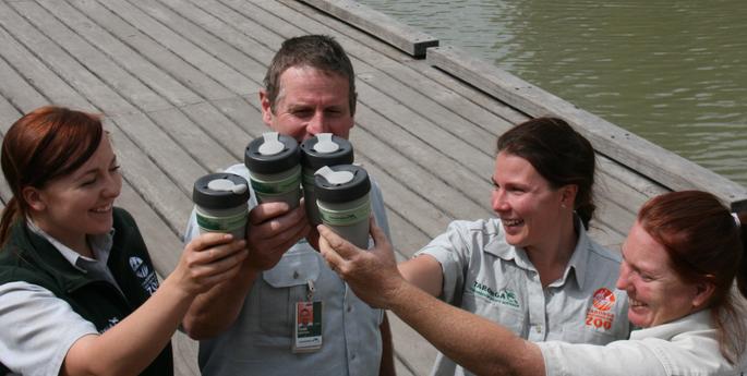 Celebrate World Environment Day