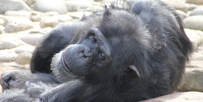 Like Sands through the Hour Glass