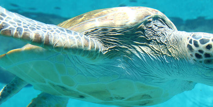 Take your rubbish with you