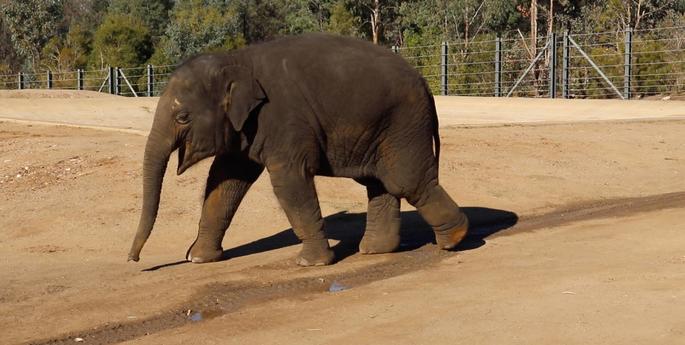 The story of Kanlaya