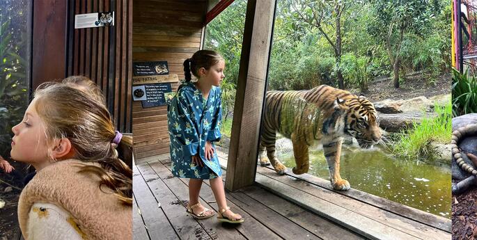 I grew up with Taronga…