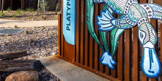 Taronga collaborates with international partners to conserve the iconic platypus
