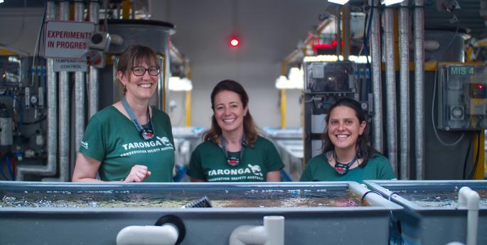 Taronga freezing the Great Barrier Reef's future