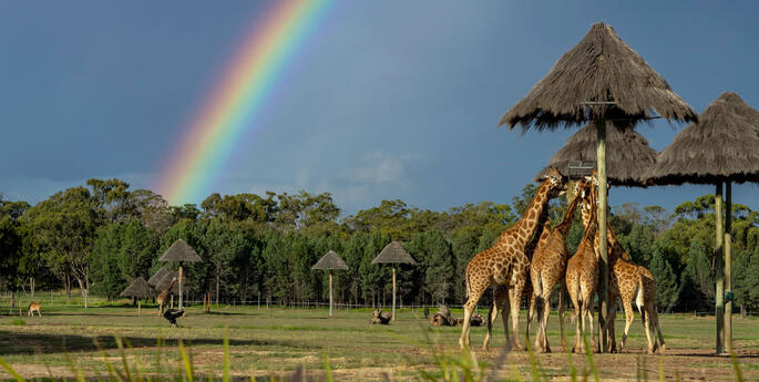 Happy birthday to the Zoo!