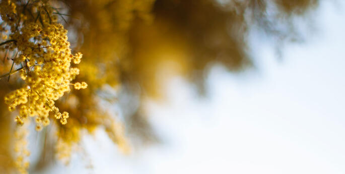 Make a Sustainable New Year’s Resolution