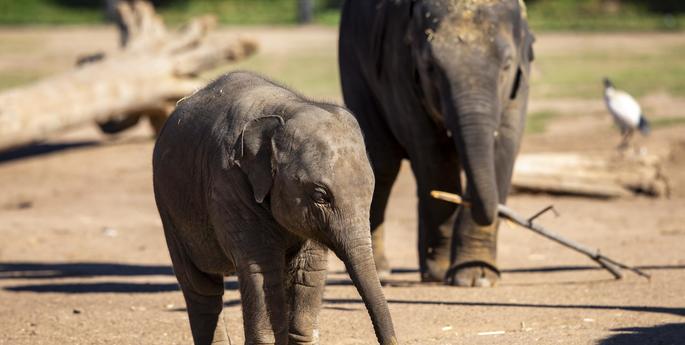 Reflecting on Kanlaya’s first year